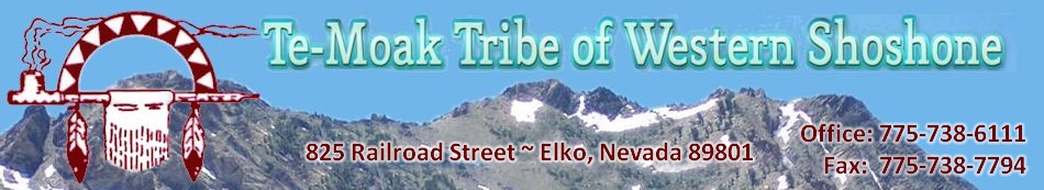 Te-Moak Tribe of Western Shoshone